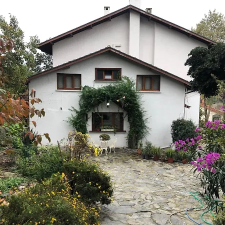 Istanbul Bosphorus Villa Gorgeous Sea View فيلة