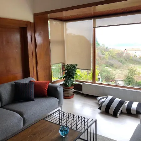 Istanbul Bosphorus Villa Gorgeous Sea View فيلة *
