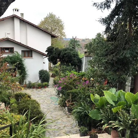 Istanbul Bosphorus Villa Gorgeous Sea View فيلة *